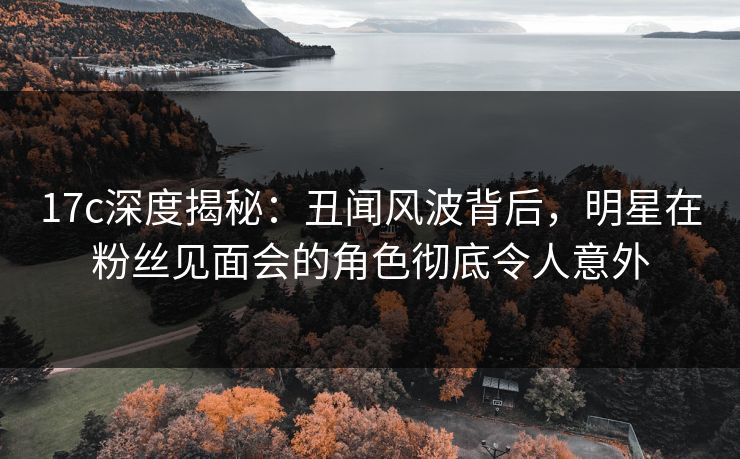 17c深度揭秘：丑闻风波背后，明星在粉丝见面会的角色彻底令人意外