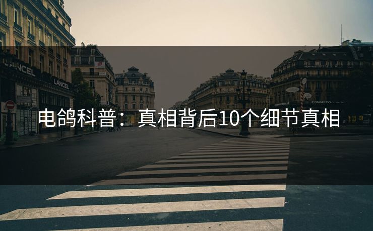电鸽科普：真相背后10个细节真相