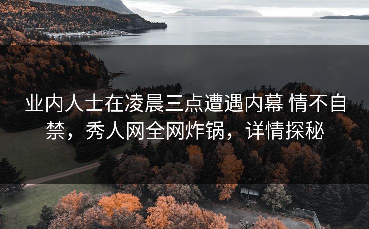 业内人士在凌晨三点遭遇内幕 情不自禁，秀人网全网炸锅，详情探秘