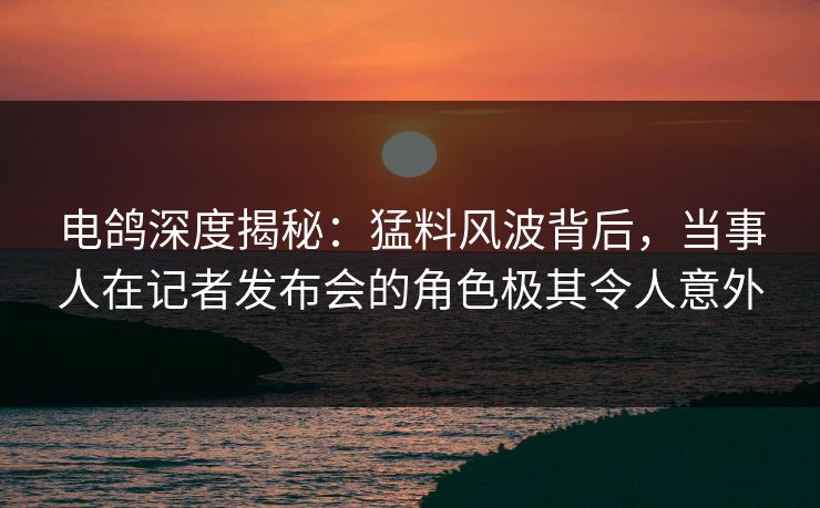 电鸽深度揭秘：猛料风波背后，当事人在记者发布会的角色极其令人意外