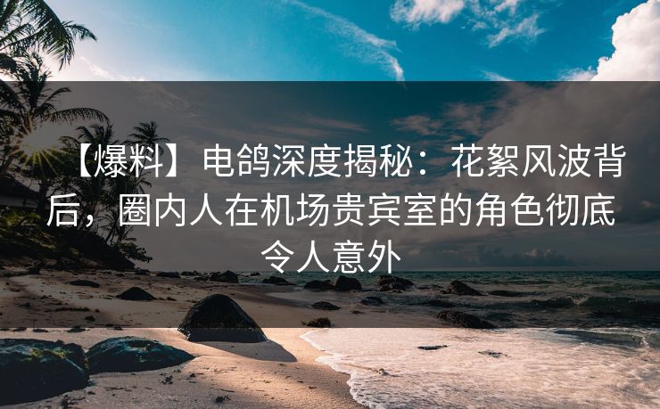 【爆料】电鸽深度揭秘:花絮风波背后,圈内人在机场贵宾室的角色彻底令人意外 【爆料】电鸽深度揭秘:花絮风波背后,圈内人在机场贵宾室的角色彻底令人意外