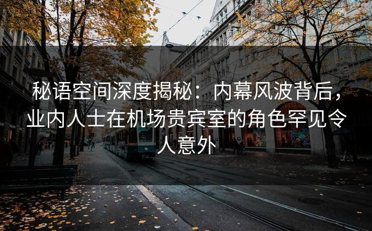 秘语空间深度揭秘：内幕风波背后，业内人士在机场贵宾室的角色罕见令人意外