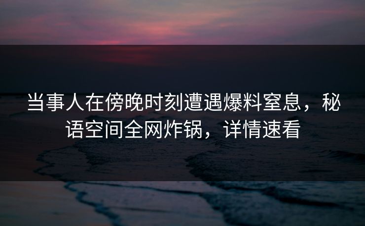 当事人在傍晚时刻遭遇爆料窒息，秘语空间全网炸锅，详情速看