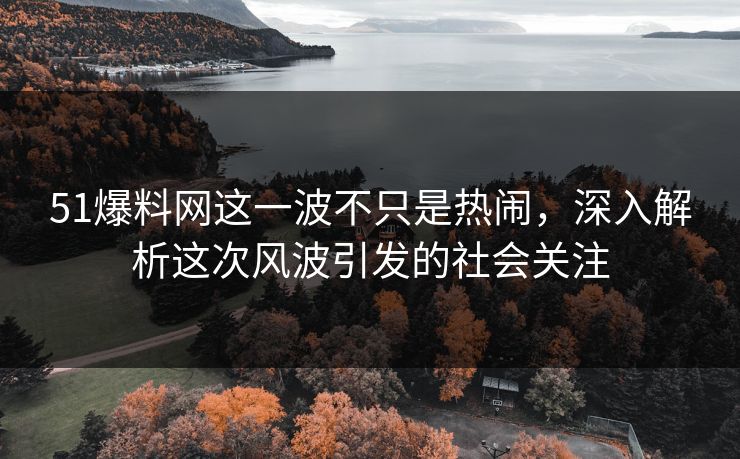 51爆料网这一波不只是热闹，深入解析这次风波引发的社会关注